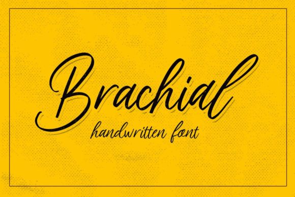 Brachial Script Handwritten Font for Elegant Web Design