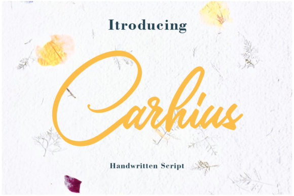 Carhius: A Delicate Script Handwritten Font for Elegant Branding