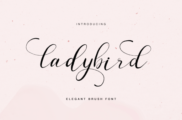 Ladybird: The Perfect Script Handwritten Font for Small Business Branding
