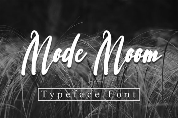 Mode Moon Typeface Review: Elevating Social Campaigns with Relaxed Handwritten Style