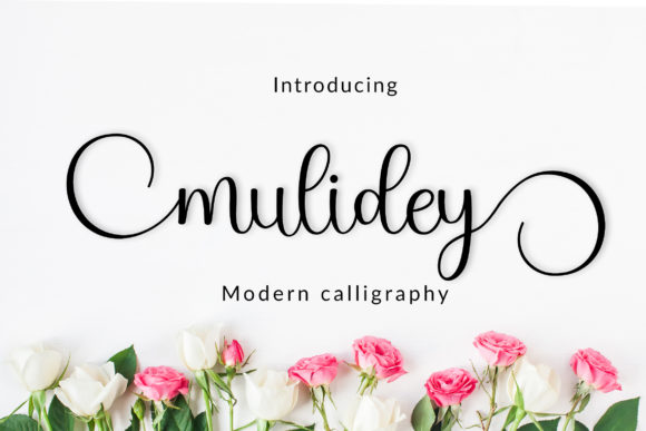 Mulidey: A Refined Handwritten Font for Editorial Design